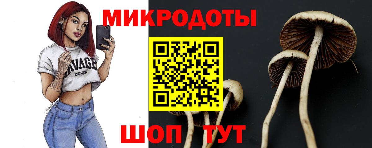 Гуково  Псилоцибиновые грибы Magic Shrooms  Вход с VPN 